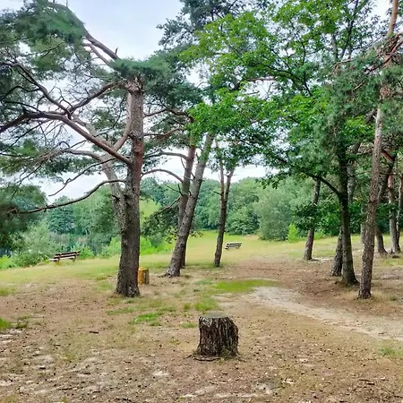 Awesome In With Kitchen *