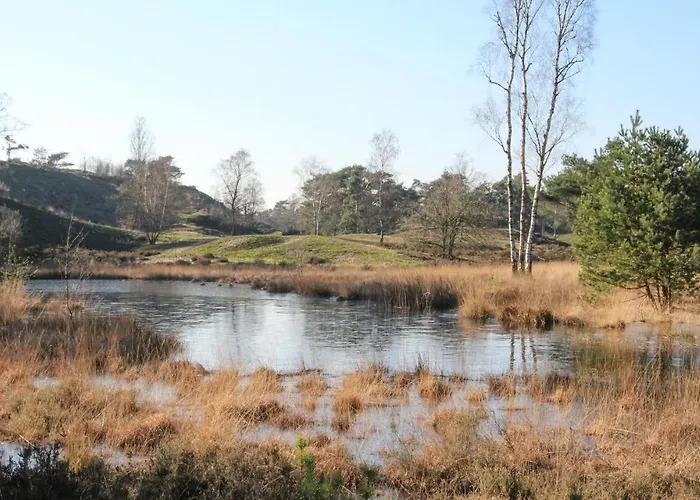 بيت للعطل Awesome In With Kitchen